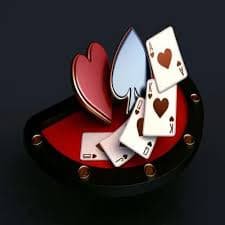 d55 casino