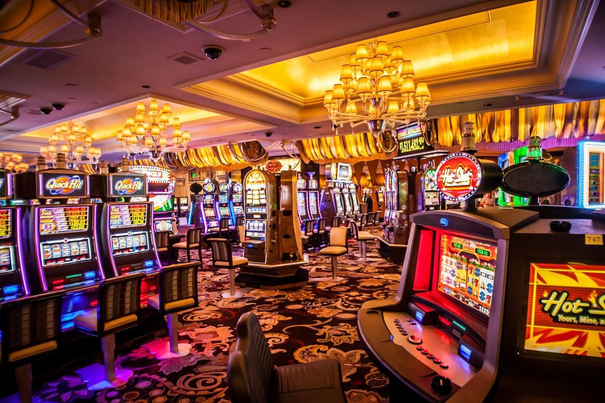 d55 casino