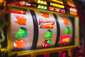 d55 casino