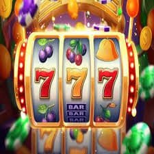 d55 casino